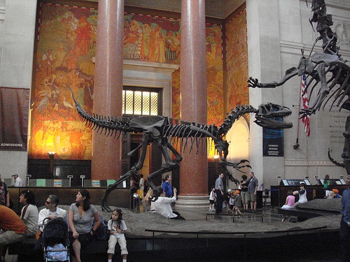 American Museum of Natural History