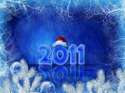 2011-novyi-god 2011 новый год
