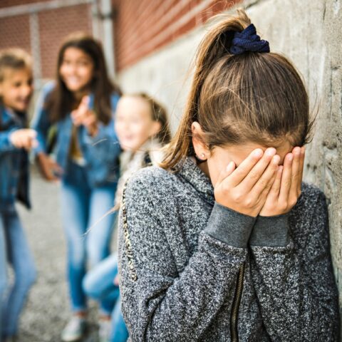 7 Tips for Dealing with Bullies