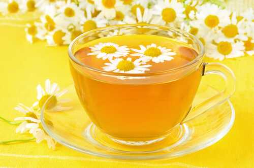 Camomile