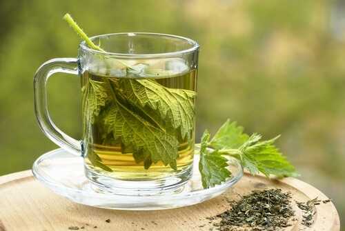 Nettle tea