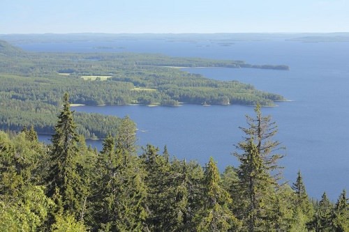 Koli National Park