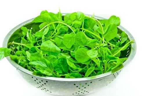 Spinach