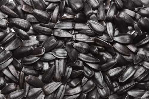 Sunflower seeds