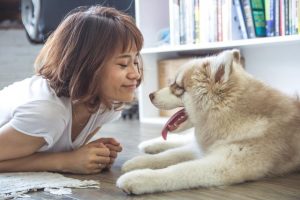 Celebrate Valentine’s Day with a Beloved Pet