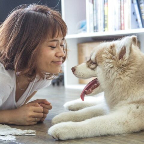 Celebrate Valentine’s Day with a Beloved Pet