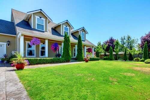 Image of 7 Advantages of Becoming a House Sitter