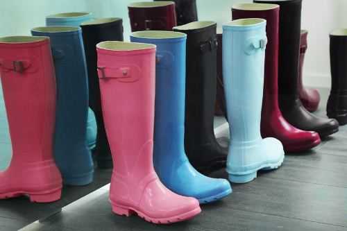 Wellington boots