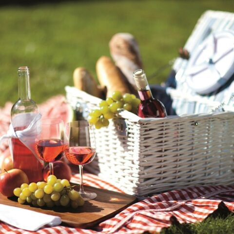 7 Ideas to Make Any Picnic More Enjoyable