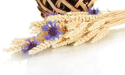 Dried rye wedding bouquet