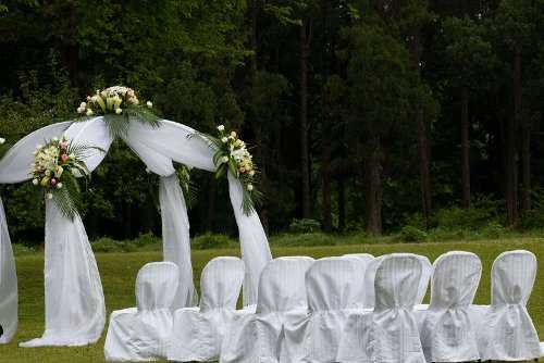 Wedding in the forest