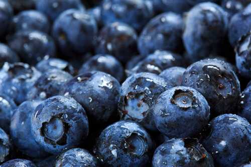 Blueberries