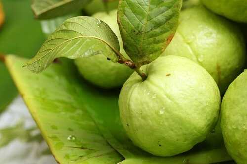 Guava