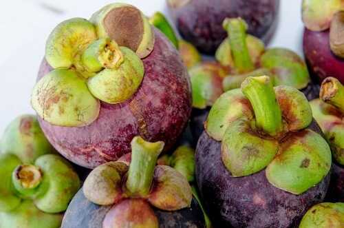 Mangosteens