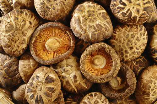 Shiitake mushrooms