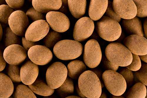 Cocoa dusted almonds