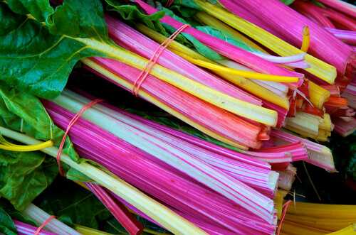 Swiss chard