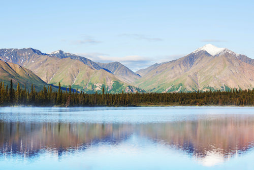 Alaskan Tundra