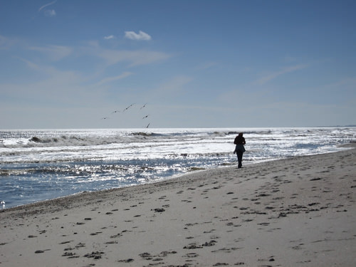 Amelia Island, Florida