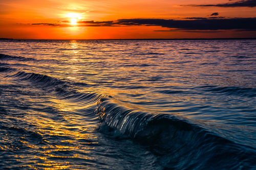 Cherry Grove, Fire Island, New York, USA