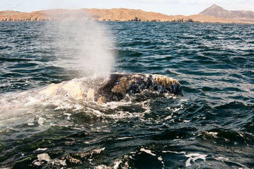 Los Cabos Mexico