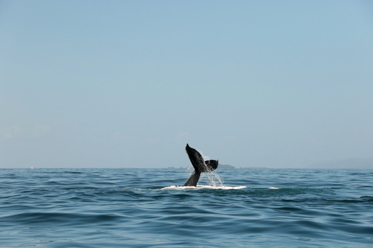 Puerto-Madryn, Argentina