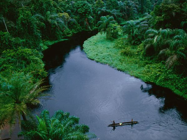 The Congo Basin