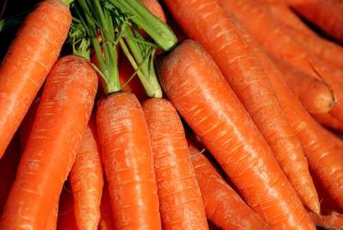 Carrots