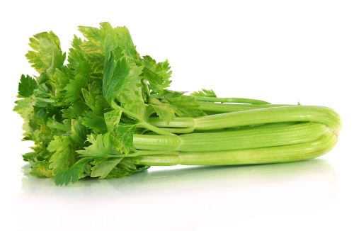 Celery