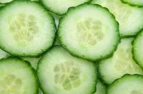 Cucumber