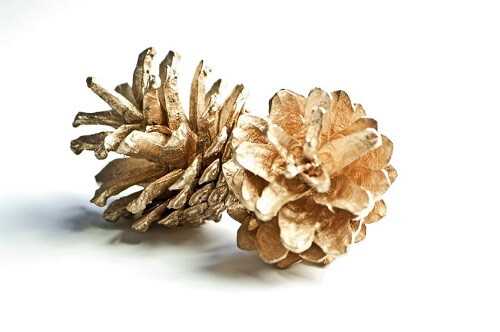 Gilded Pinecones