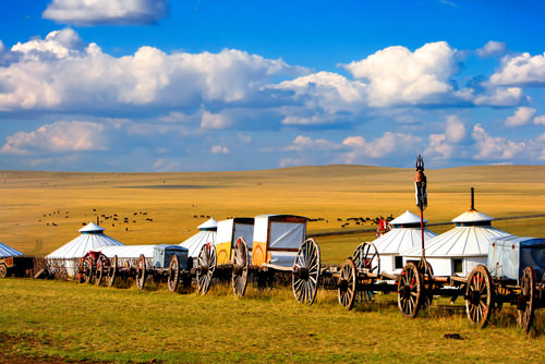 Mongolian nomadic local living