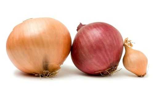 Onions