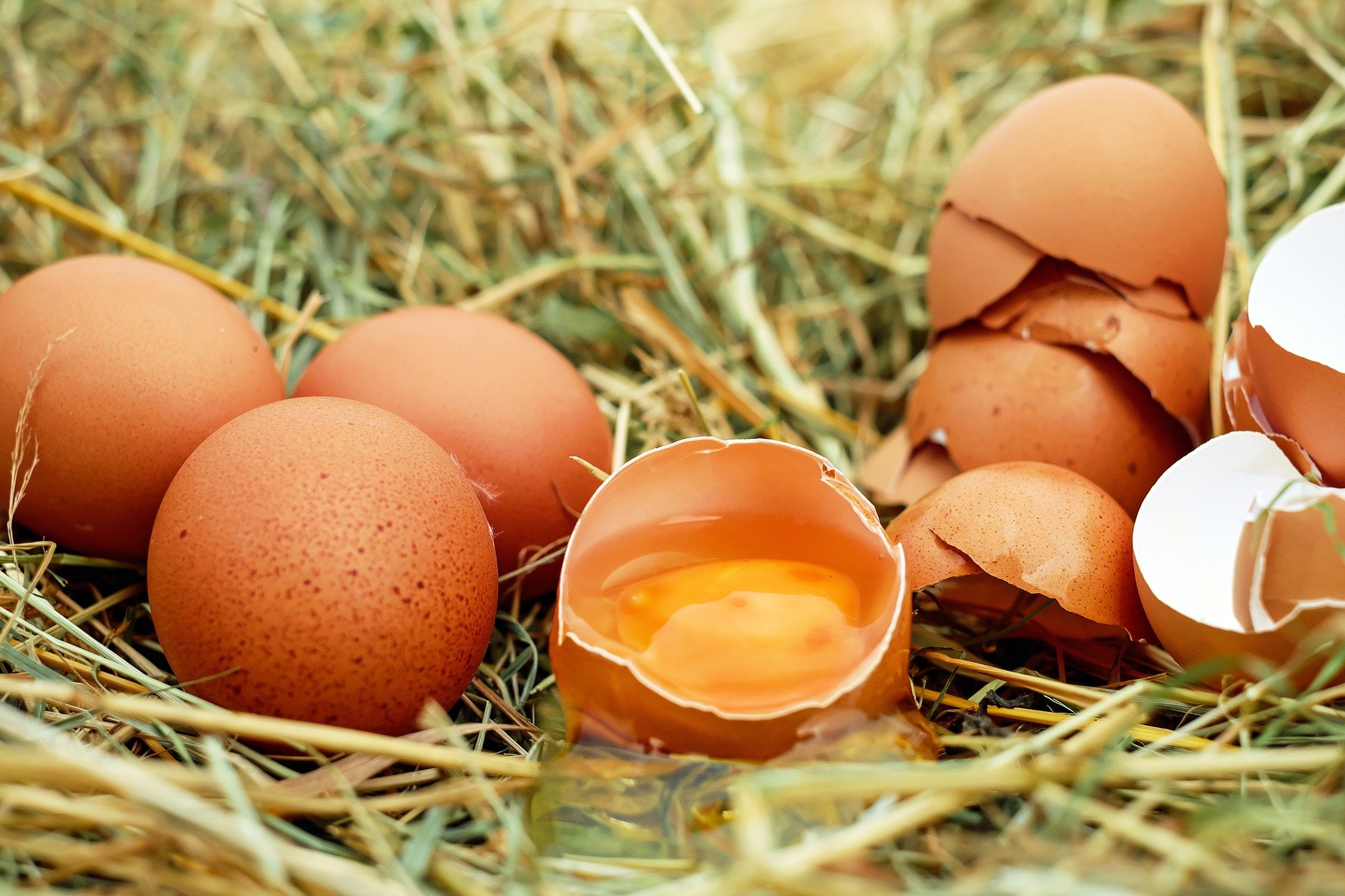 Pastured eggs