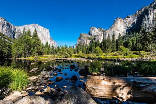 Visit Yosemite National Park