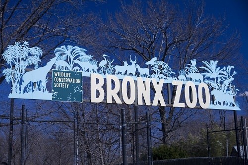 Bronx Zoo