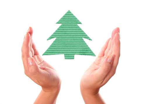 Christmas Tree Recycling Program