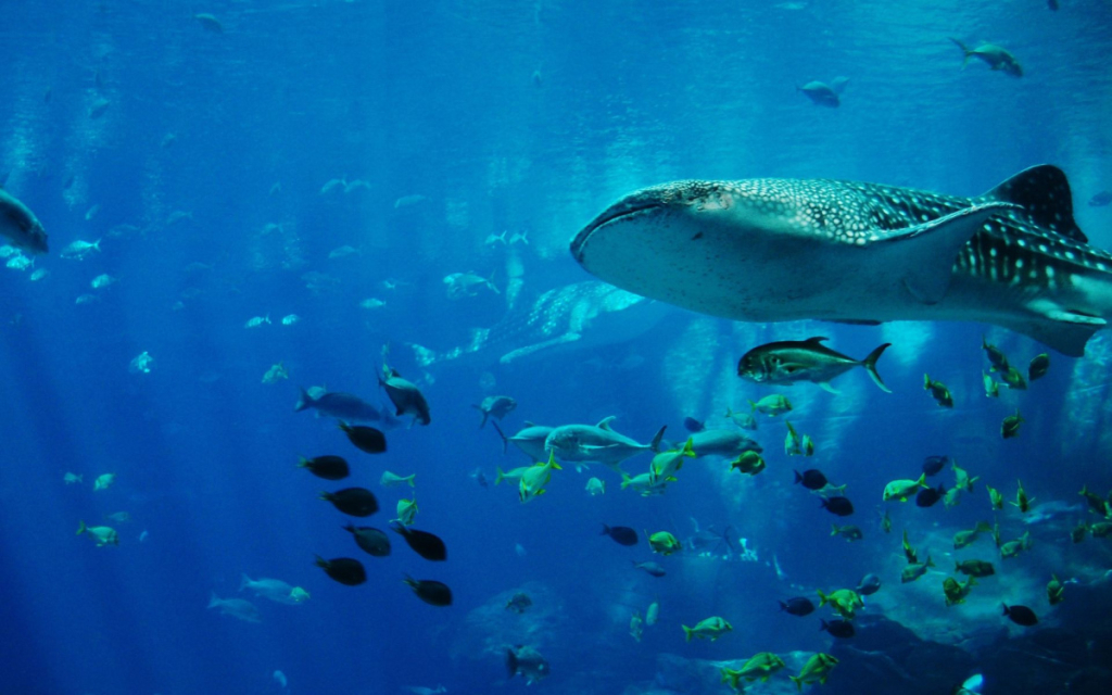 Madrid Zoo Aquarium, Spain