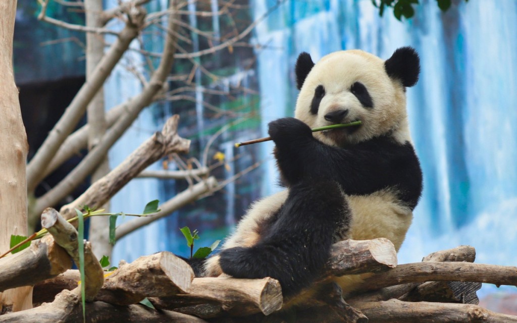 Taipei Zoo, Taiwan