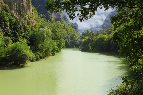 Amazon Rainforest South America