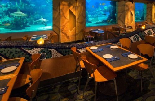 Coral Reef Restaurant at Epcot Center's Future World