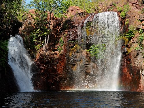 Kakadu Australia