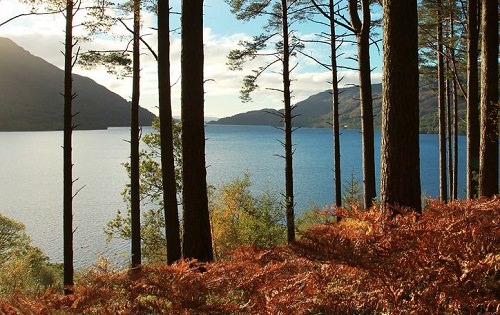 Loch Lomond and the Trossachs National Park