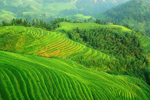 Mountains of Southwest China