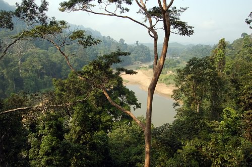 Taman Negara