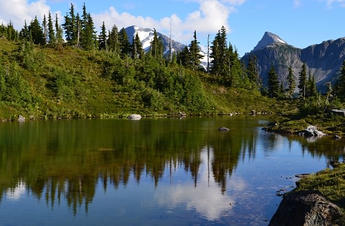 The Great Bear Rainforest Canada and the United States