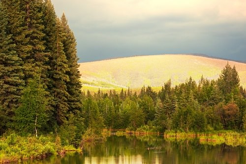 Tongass National Forest United States