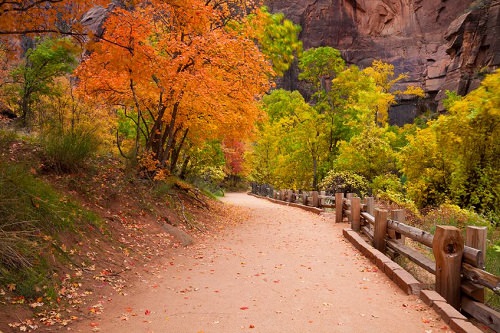 Zion National Park