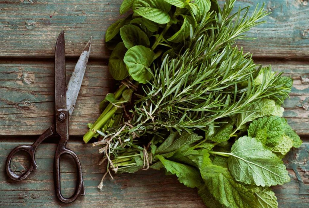 7 Incredible Herbs to Eat to Fight Acne