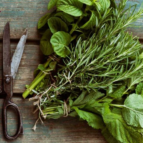 7 Incredible Herbs to Eat to Fight Acne